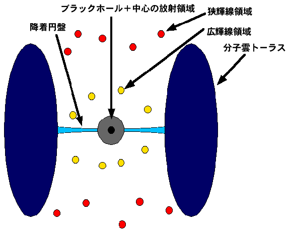 AGNの物質分布図(断面)